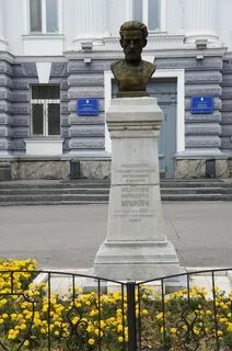 Шишков медицина