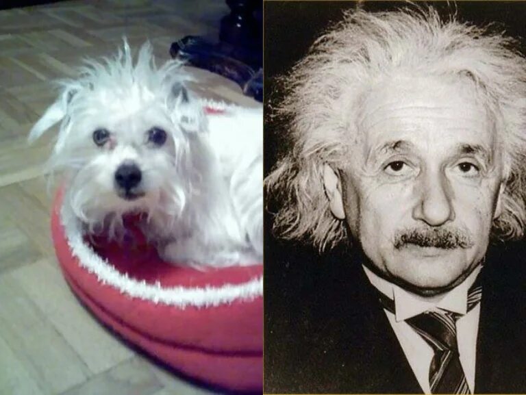 Похожее аналогичное. Рон перлман молодой. Дэкс шепард и зак брафф похожи. Дуэйн скала джонсон с людьми. Похожее аналогичное.