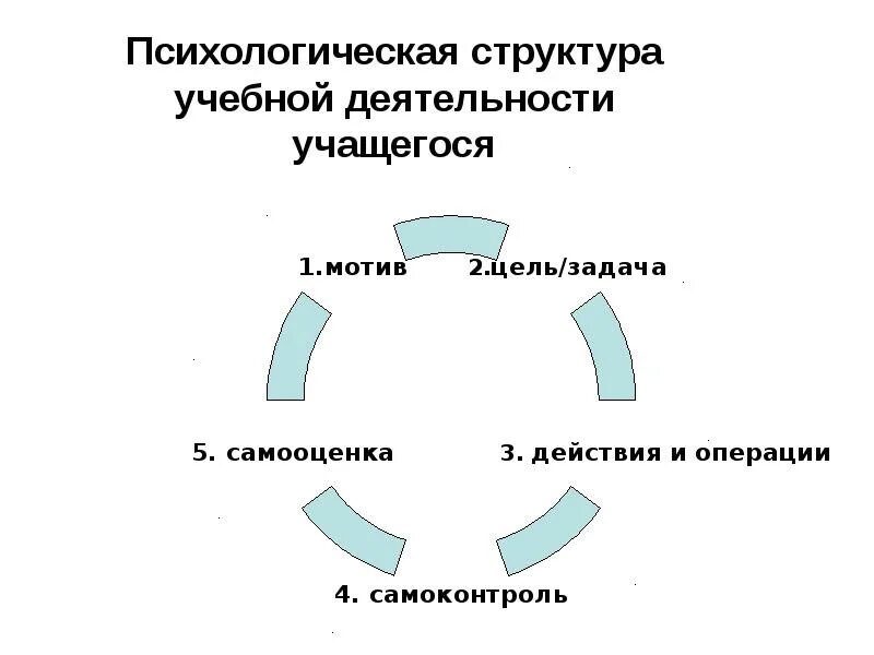 Учебная деятельность и ее организация. Структура учебной деятельности в психологии схема. Компоненты структуры учебной деятельности. Психологическую структуру учебной деятельности разработали. Учебная деятельность и ее структура в психологии.