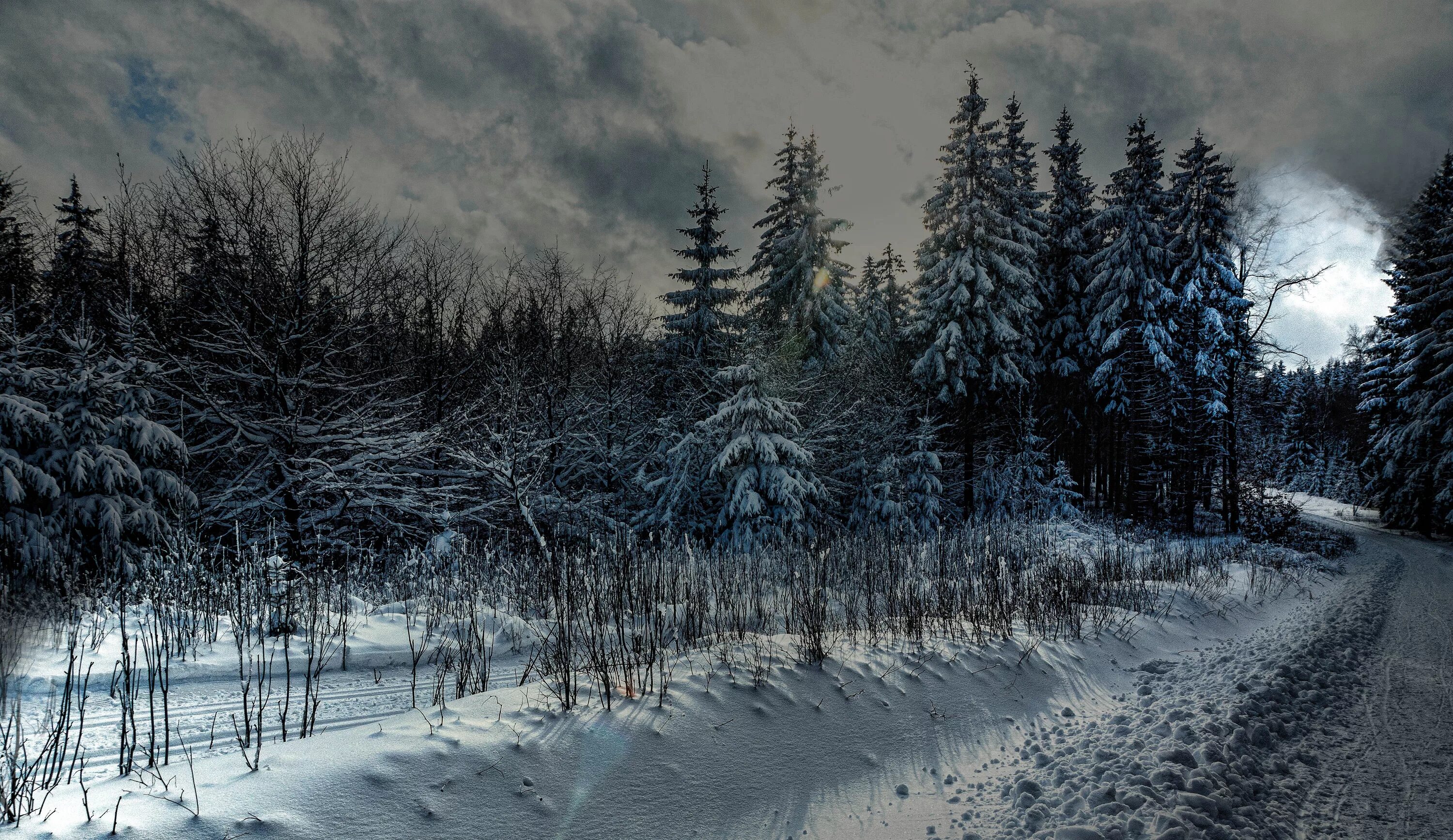 Зима в Тюрингии. Снежный лес страшный. Леса Тюрингии. Сосна зимой при Луне. Где умеренно холодная снежная зима