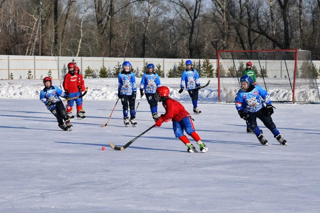 хакасия сборная по хоккею с мячом 2008г. хоккей хакасии. хоккей с мячом абакан ирбис. хоккей хакасии. стадион химик усть абакан.