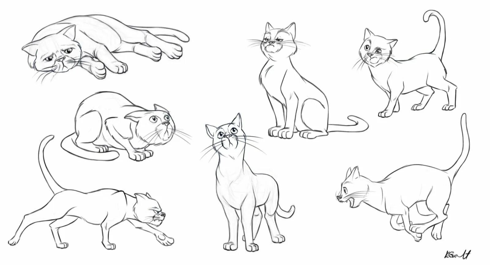 Движение первых кот. Кошка сбоку референс. Зарисовки животных в движении. Кошка рисунок. Кошки в разных позах.