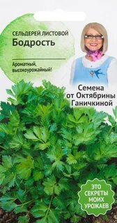 Сельдерей бодрость листовой