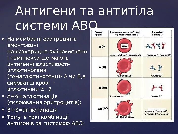 Группы крови агглютинины. Группы крови таблица агглютинины и агглютиногены. Агглютиногены эритроцитов таблица. Агглютиноген а содержится в крови. Агглютиногены 1 группы