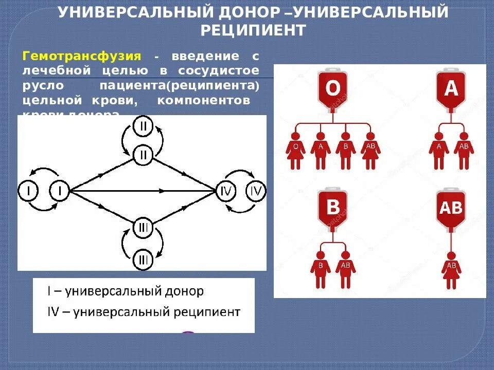 1 донор 2 реципиента