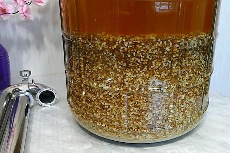 Рецепты браги для самогона на кодзи. Зерновой самогон на кодзи. брага из пшеницы для самогона. зерновая брага на кодзи и пшенице. брага на пшенице с кодзи.