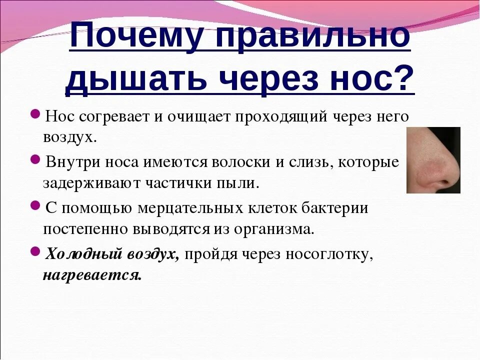 Через почему з. Почему нужно дышать через нос а не через рот. Почему необходимо дышать через нос. Почему важно дышать через нос. Почему правильно дышать носом.