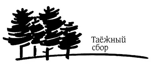 Таежный канал дзен