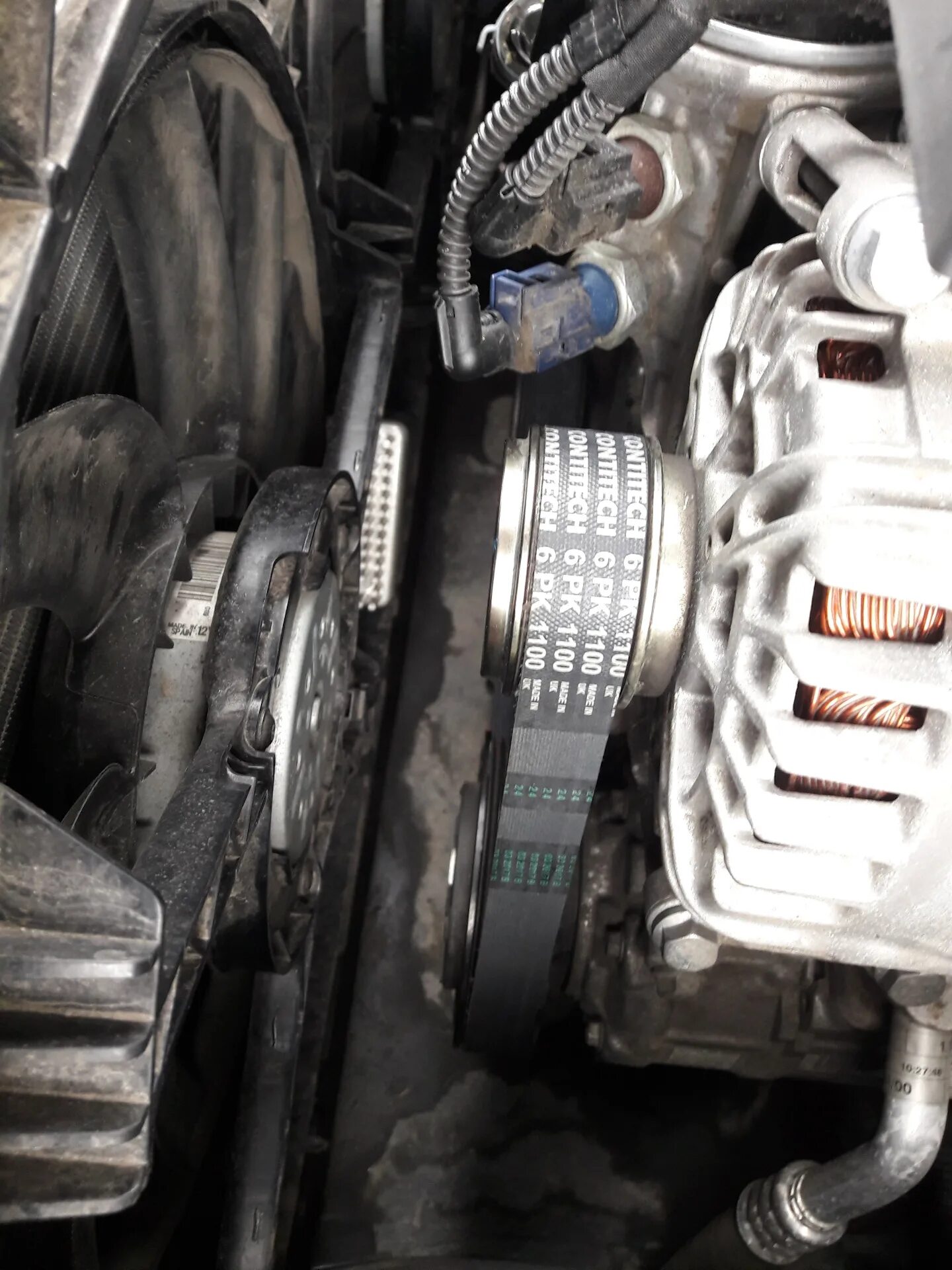 Ремень генератора а5. Ауди а6с6 приволной ремент. ремень приводной ауди а6 2.0 дизель. ремень генератора ауди а5 2.0. ремень генератора ауди а6.