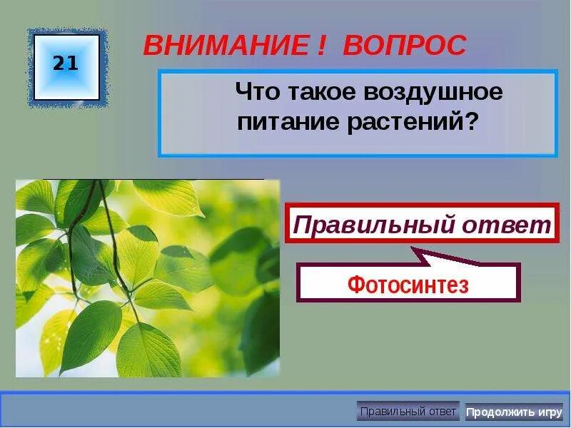 Что такое воздушное питание 6 класс. Воздушное питание растений. схема воздушного питания растений 6 класс. воздушное питание понятие.