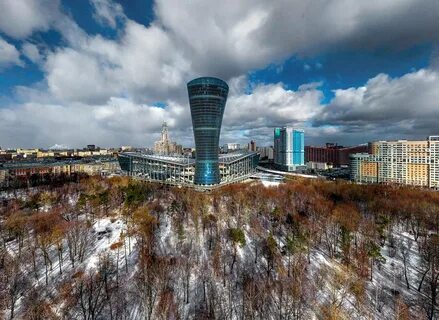 Березовая роща цска