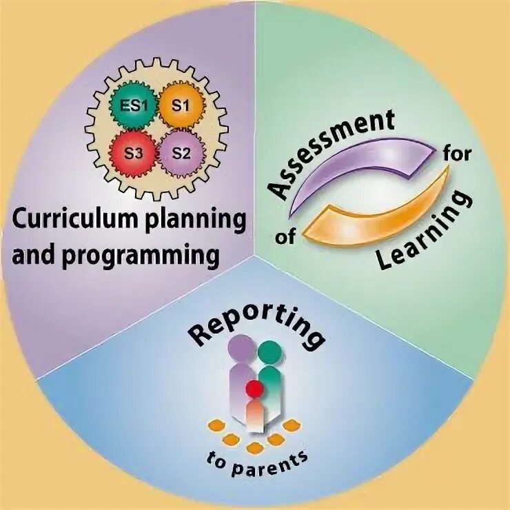 Curriculum programming. Curriculum planning.