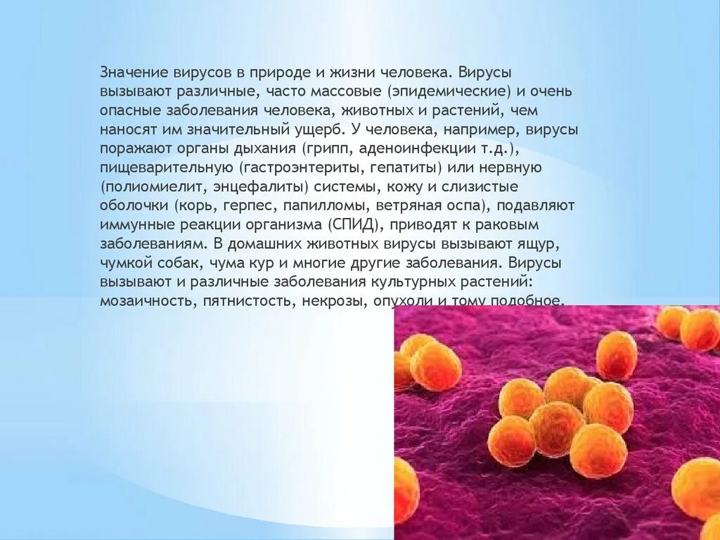 Вирусы различных заболеваний. Вирусы заболевания человека. Вирусы вызывающие болезни. Болезни человека вызываемые вирусами. Вирусные заболевания человека и животных.