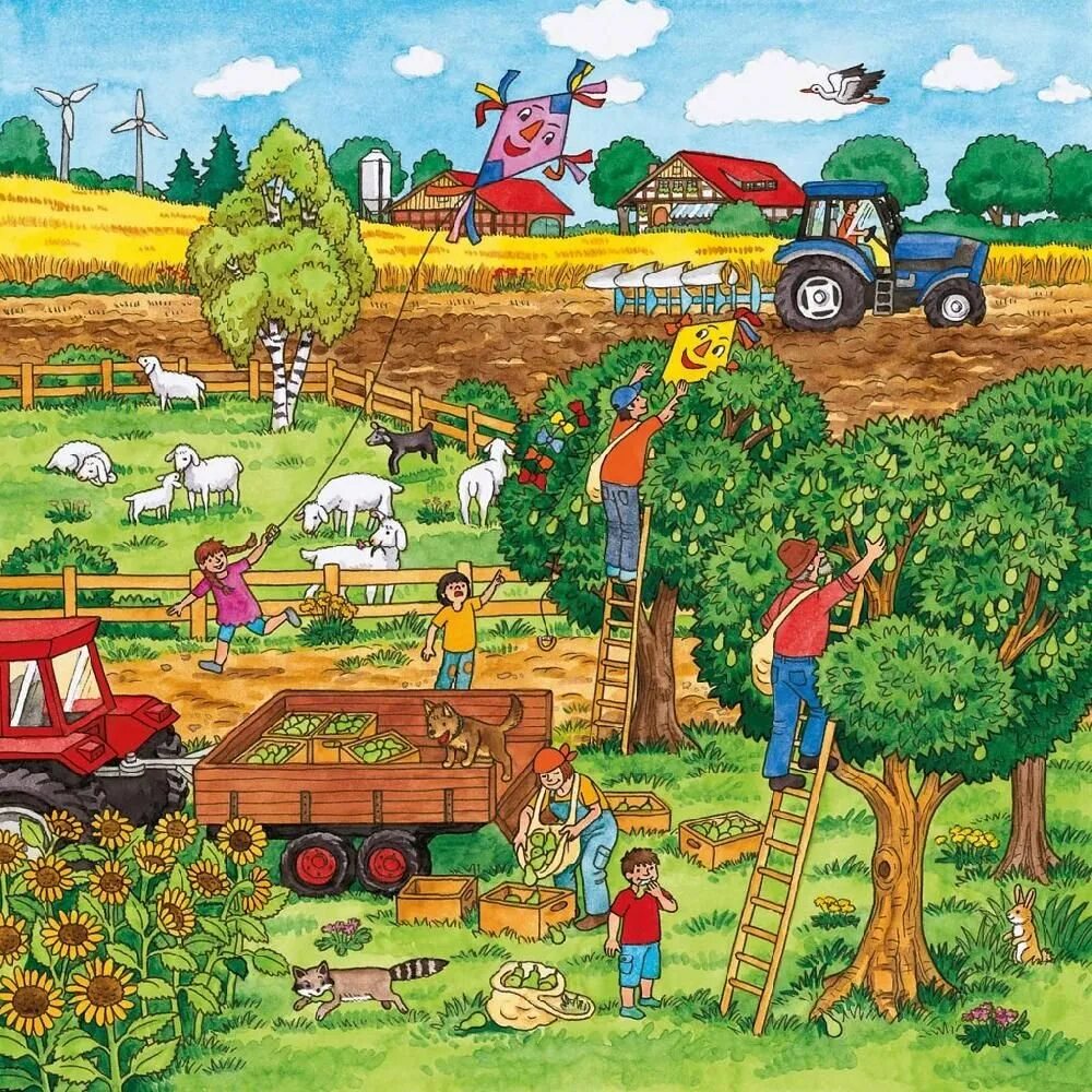 Тема недели сад огород. Картина уборка урожая Нищева. Картина уборка урожая для дошкольников. Сюжетная картина урожай. Сбор урожая.