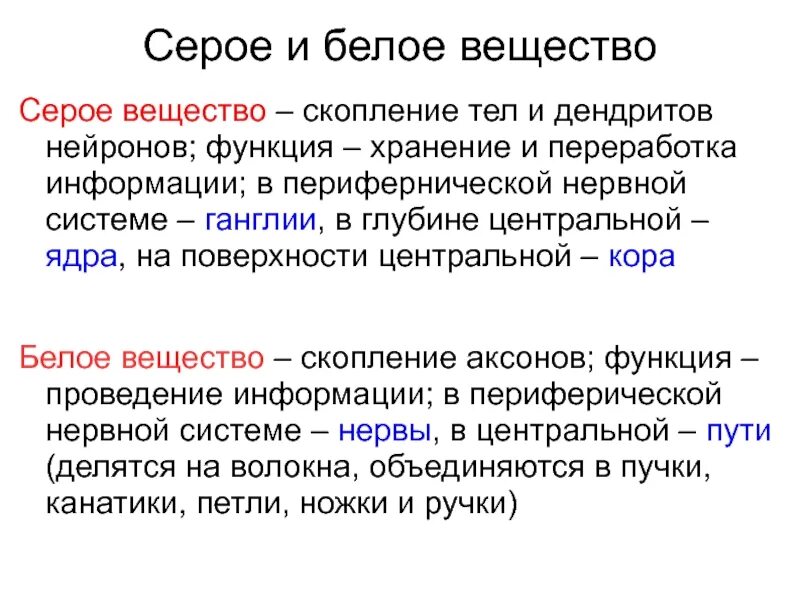 Значение белого вещества