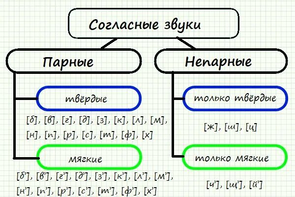 Мягкая парная согласная