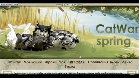 Кэтвар места во рту