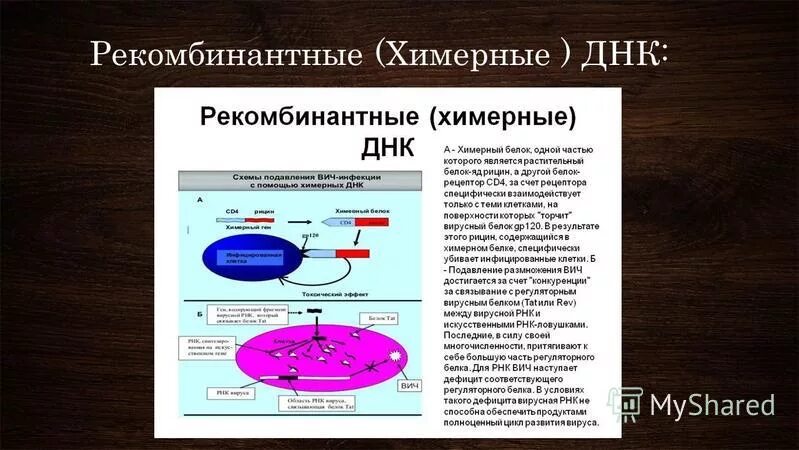 схема получения рекомбинантных белков. технология получения рекомбинантной молекулы днк. первая рекомбинантная днк. схема клонирования рекомбинантной днк. технология рекомбинантных днк.