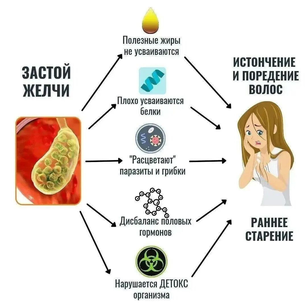 Почему происходит застой желчи.