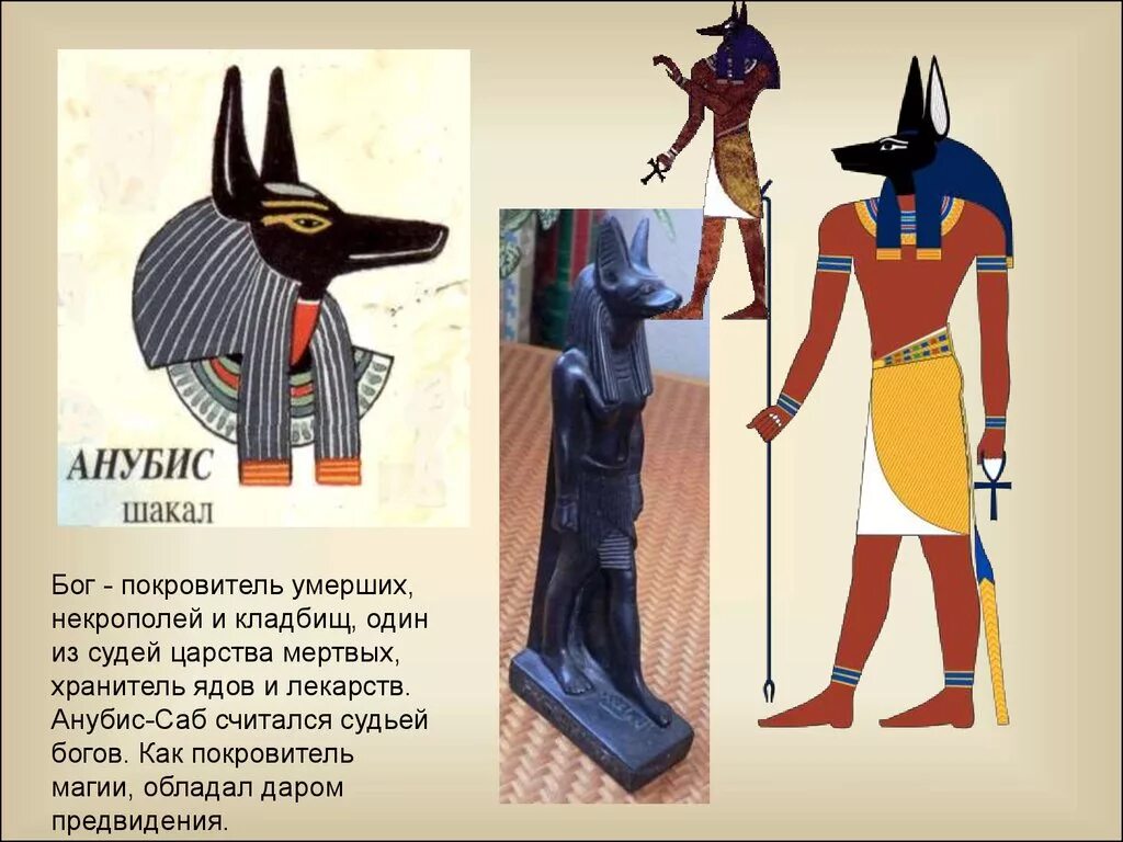 Объясни слово анубис. Анубис Бог Египта. Бог подземного царства в Египте Анубис. Египет Анубис Шакал. Анубис Бог покровитель.