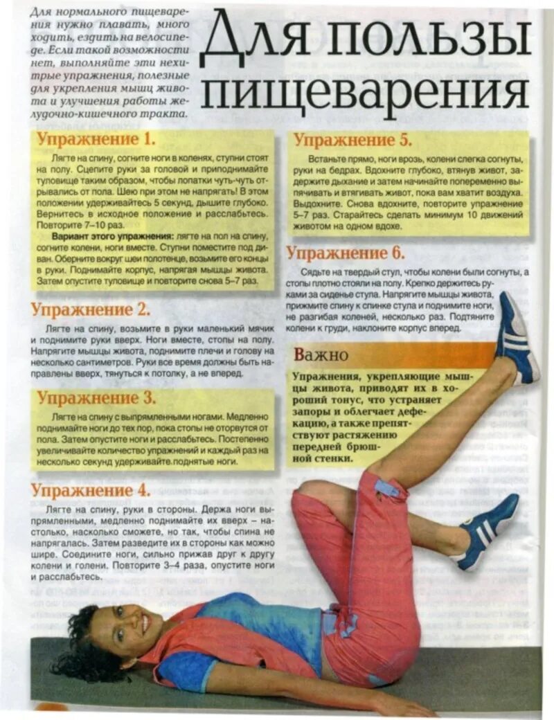 Какие упражнения делать для кишечника. Упражнения для пищеварения. упражнения для кишечника. физические упражнения для кишечника. упражнения для работы кишечника.