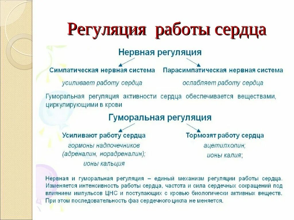 Гуморальная регуляция работы сердца осуществляется. Регуляция работы сердца. Регуляция работы сердца таблица. Нервная регуляция сердца физиология. Значение регуляции работы сердца.