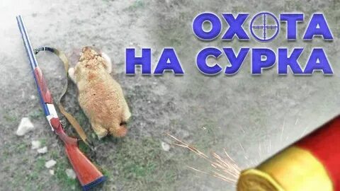 Ожидание выстрел