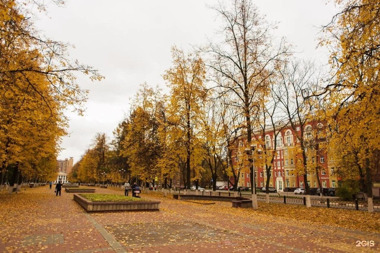 Жуковский центр города. Город Жуковский парк. Жуковский сквер Маяковского. Гостиница Дружба Жуковский. Г жуковский м о