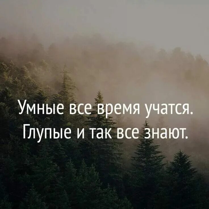 Глупый со