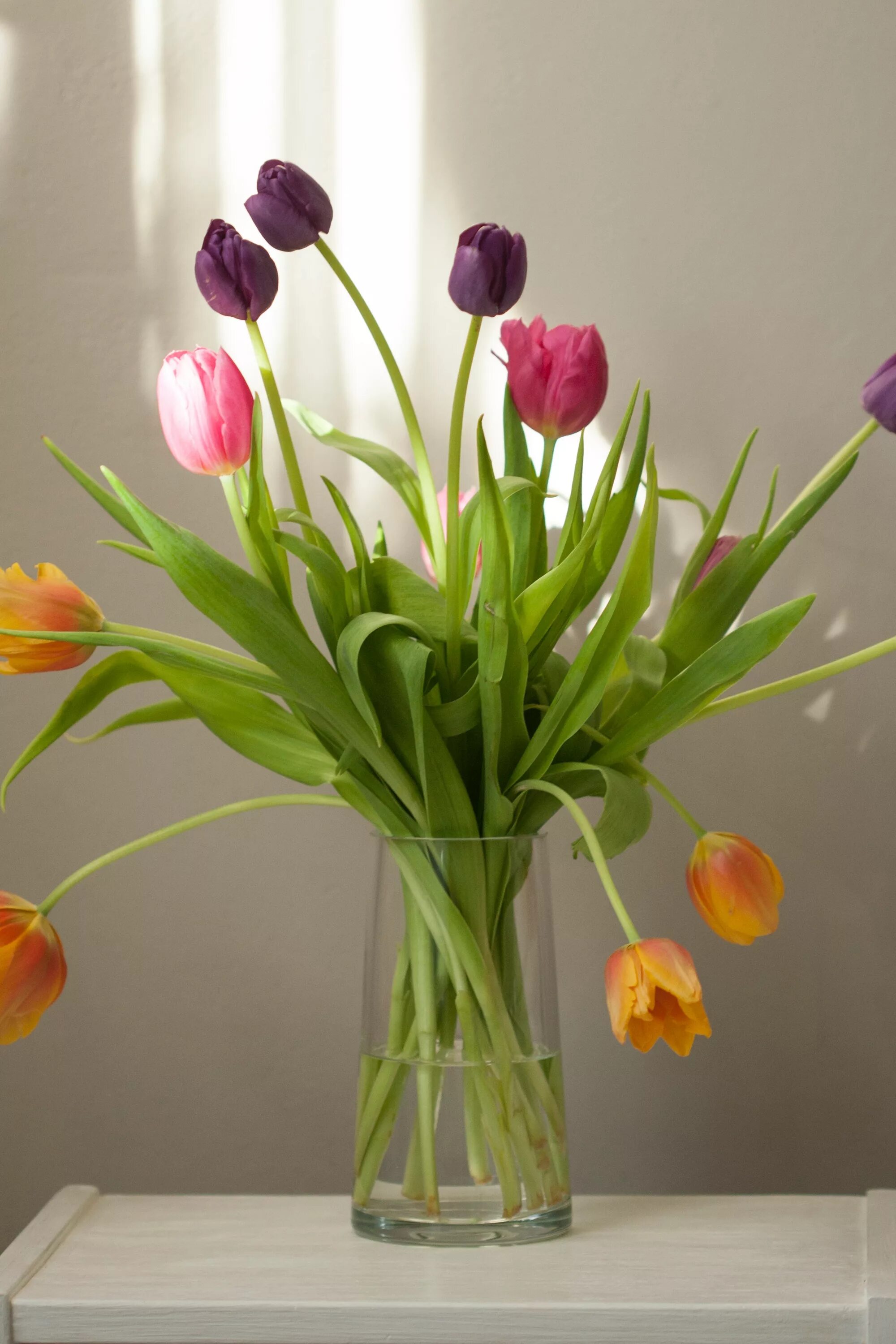 Сколько стоят в вазе тюльпаны с водой. Цветы в вазе. Цветы тюльпаны. Тюльпаны в вазах. Красивые тюльпаны в вазе.