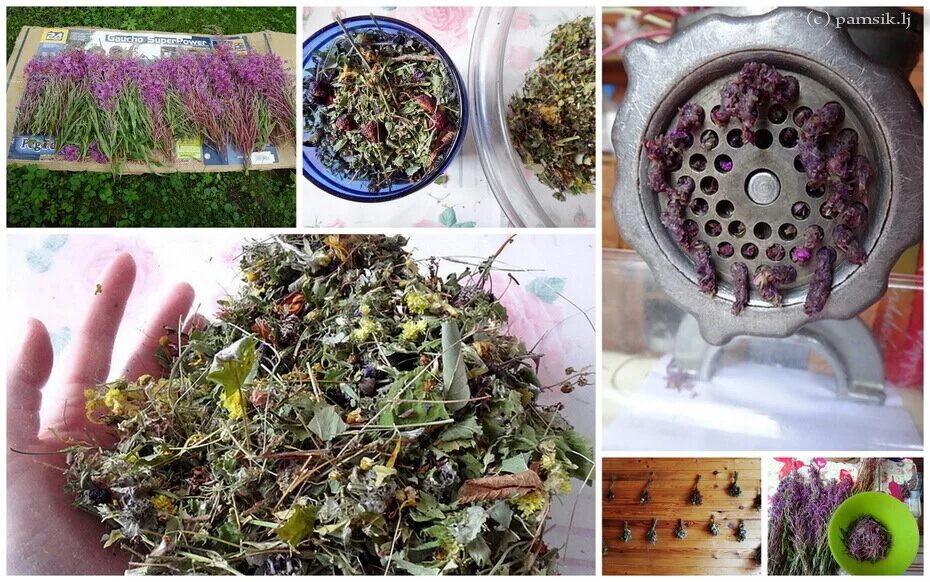 Трава собранная для чая. Сушка лекарственных растений. Сушка трав для чая. Заготовка лекарственных трав.