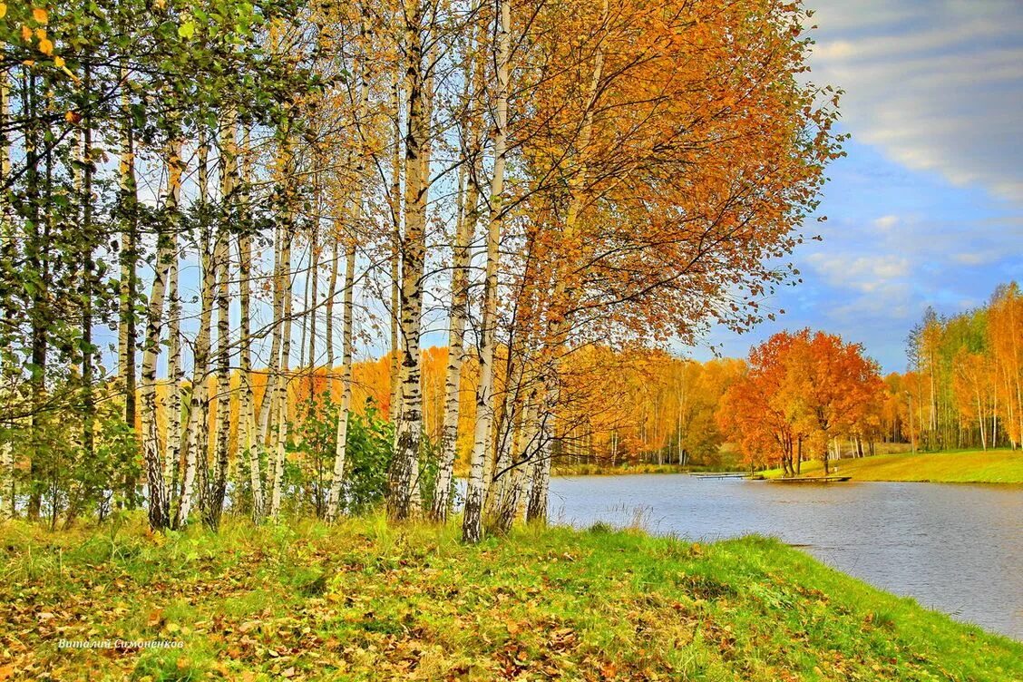 Золотая осень. Осенний пейзаж. Золотая осень пейзаж. Осенний пейзаж светлый.