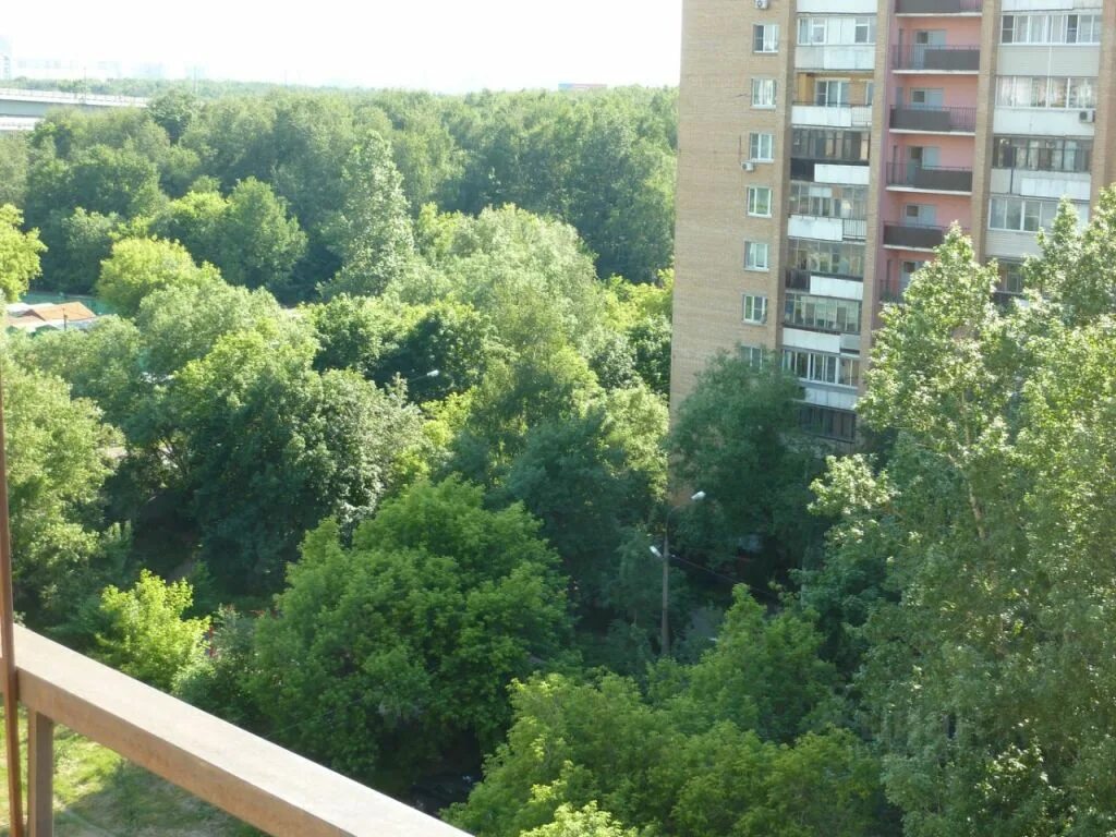 Индекс химки зеленая. Почтовый индекс города химки. Индекс химки зеленая. Индекс химки. Стоимость парковки в тц мега химки.