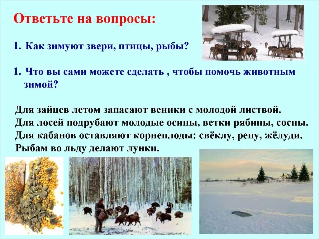 Охрана природы зимой. Охрана природы зимой презентация. Охрана природы зимой 2 класс перспектива. Памятка охрана природы зимой.