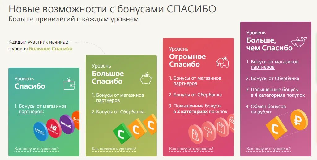 Как подключить бонусные карты