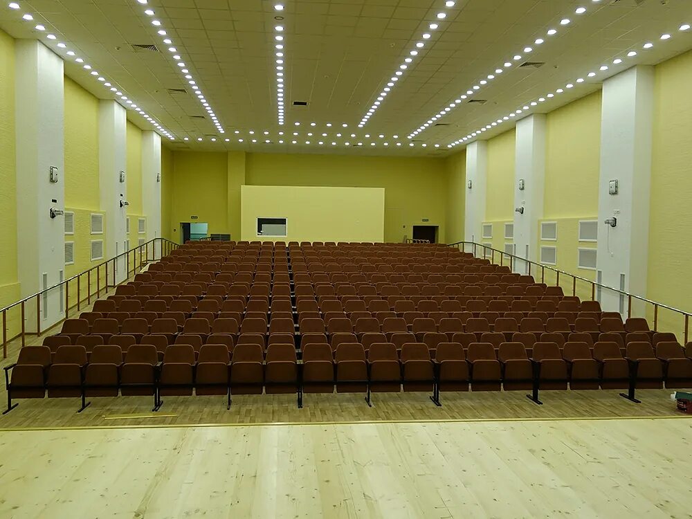 Гоголя 25 актовый зал. Пнипу актовый зал. Курский педагогический колледж актовый зал. Где актовый зал. Лицей имени пушкина нижневартовск актовый зал.