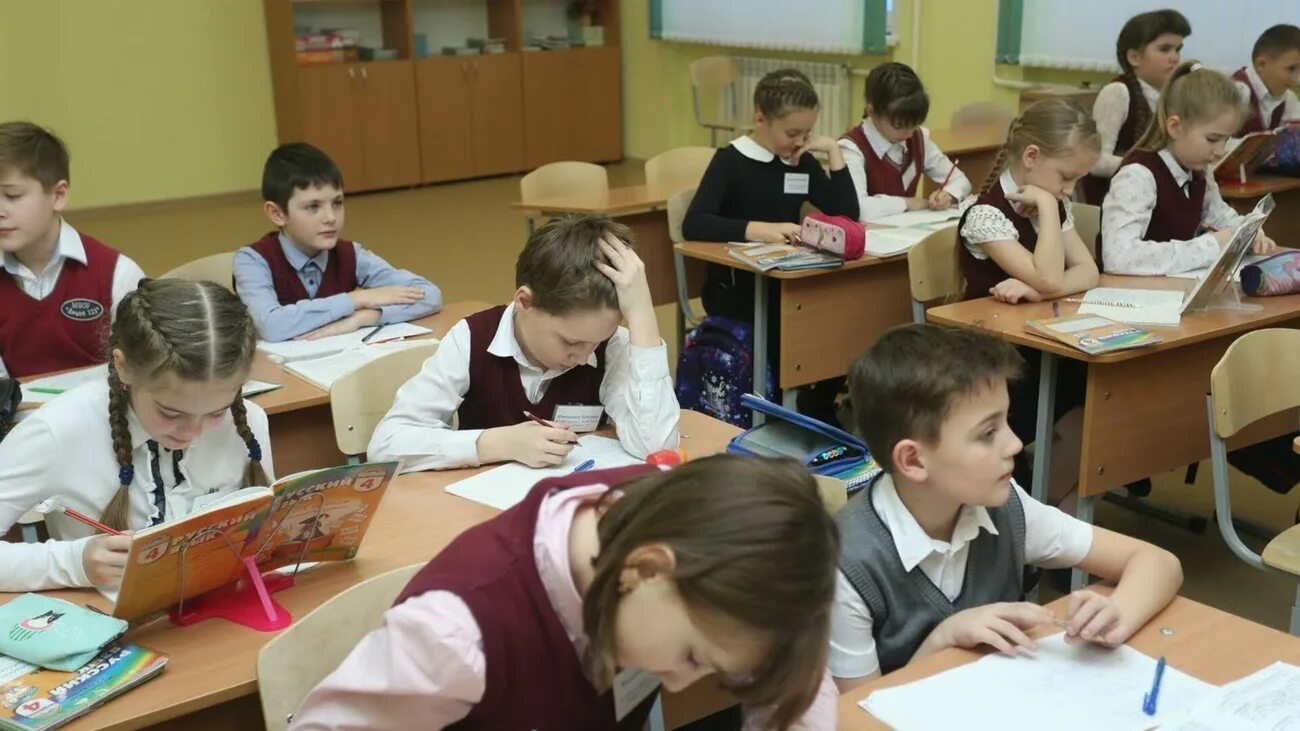 Ученики начальных классов. 338 сколько школ. Школа ученики началка. Началка фото картинка. Школа началка.