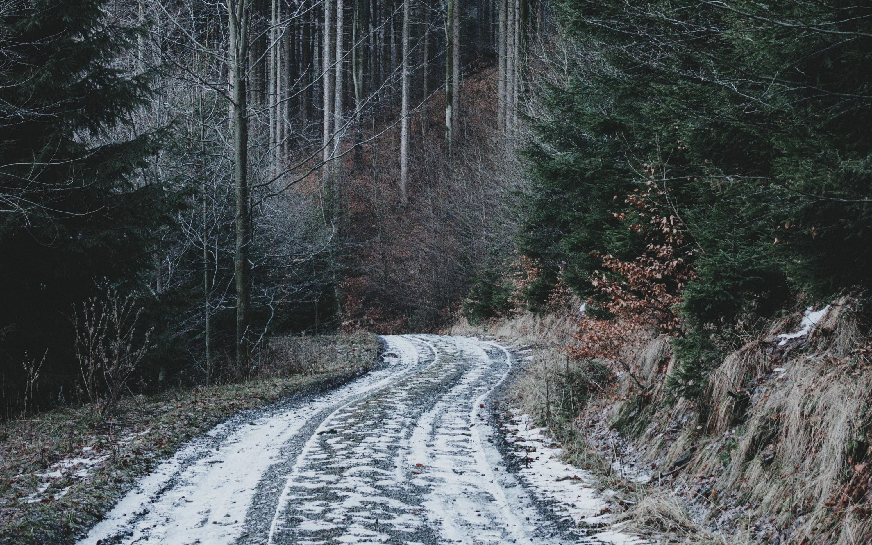 Сон дорога снег. Заснеженная дорога в лесу. Зимняя дорога в лесу. Дорога в тайге. Снежная дорога в лесу.