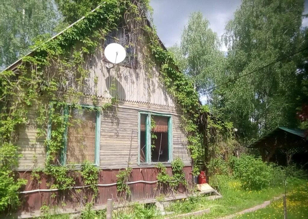 Снт сушкинская. Сушкинская дачи. Сушкинская дачи. Снт сушкинская. Деревня петелино снт волна.