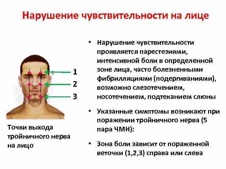 Проекция ветвей тройничного нерва. Пальпация точек выхода ветвей тройничного нерва. Зоны чувствительности тройничного нерва. Точки пальпации тройничного нерва на лице. Онемевает правая сторона лица