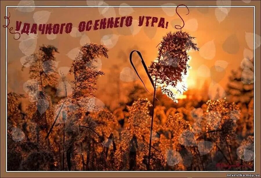 Доброе утро ноября ютуб. Доброе осеннее утро ноября. с добрым октябрьским утром. пожелания с добрым осенним утром ноября. добрые пожелания осенние ноябрь.