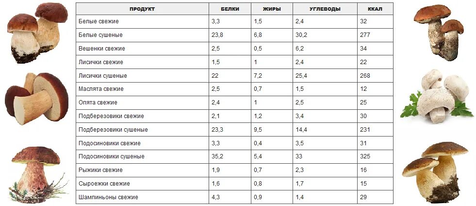 Шампиньоны это белок. Калорийность грибов таблица отварных. Грибы шампиньоны КБЖУ на 100 грамм. Энергетическая ценность грибов таблица. Грибы ккал на 100 грамм.