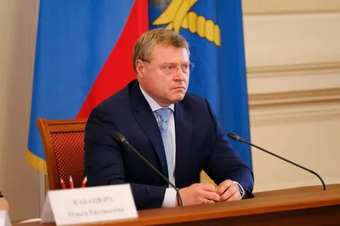 Общественный губернатор