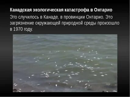 Экологический случай