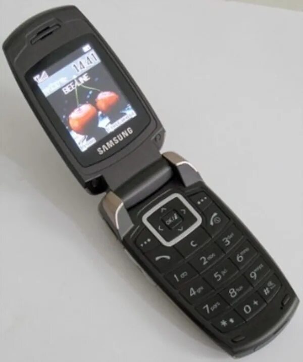 Samsung SGH-x500. Самсунг раскладушка 2007. Samsung SGH x560. Самсунг раскладушка SGH-e480. Старые модели раскладушек