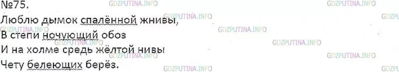 Страница 42 упр 75. Упр 75. Русский язык 5 класс упр 75. Русский язык 7 класс ладыженская учебник упр 75. Упр 75 8 класс.