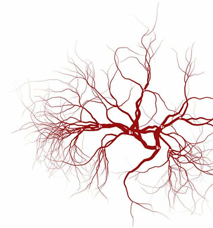 Капилляры сосуда варфрейм. Капилляры без фона. Сосуды без фона.