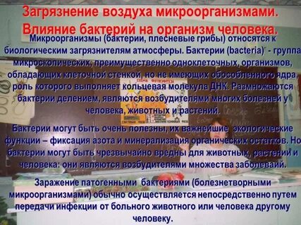 Микроорганизмы влияют на