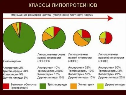 Очень высокие липопротеины низкой плотности