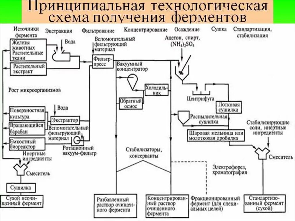 PPT - Выполнила студентка группы 07-ТПМ-3 Манекина Я.Н. Принял проф. Тужилкин В.
